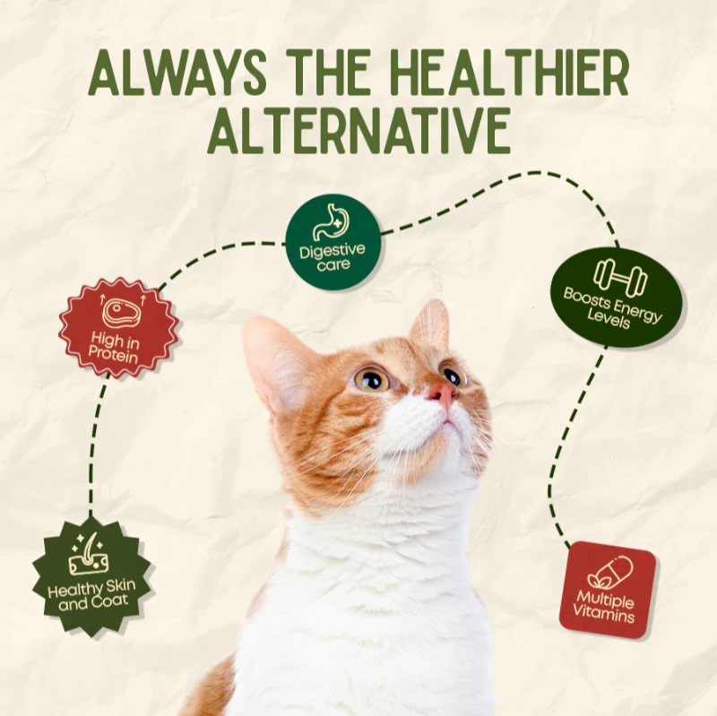 Cat looking up at benefit badges: high in protein, digestive care, energy, skin and coat, vitamins