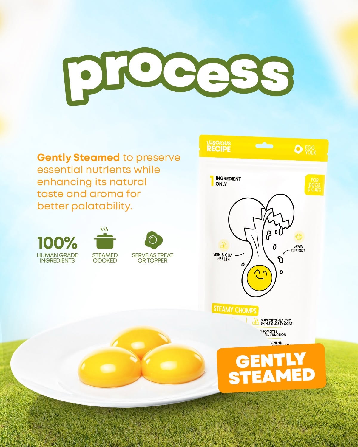 Steamy Chomps egg yolk process post